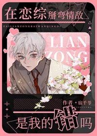 �����۲�С���������