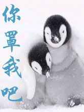 �����Ұ� ���+����