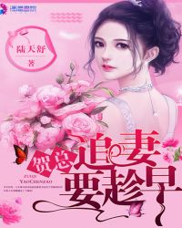 贺总,追妻要趁早!