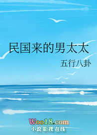 民国来的男太太(穿越)