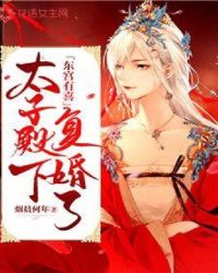 东宫有喜:太子殿下复婚了!