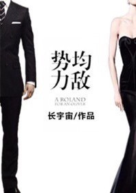 势均力敌(婚后文)