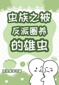 ����֮������Ȧ�����۳�