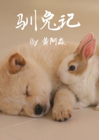 驯兔记(1v1 H)