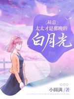 陆总,太太才是那晚的白月光