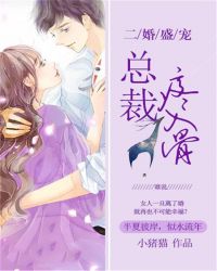 二婚盛宠:总裁疼入骨