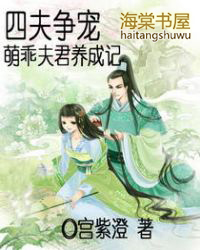 四夫争宠:萌乖夫君养成记