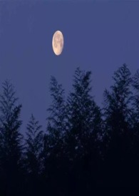 我去看月亮(乡土校园1V1 )