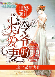 逼婚36计:冷爷的心尖爱妻