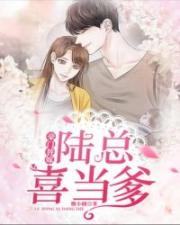 豪门替嫁:陆总喜当爹