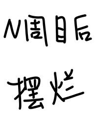 [����/ԭ��] N��Ŀ�����������