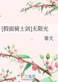 [假面骑士剑 无限光